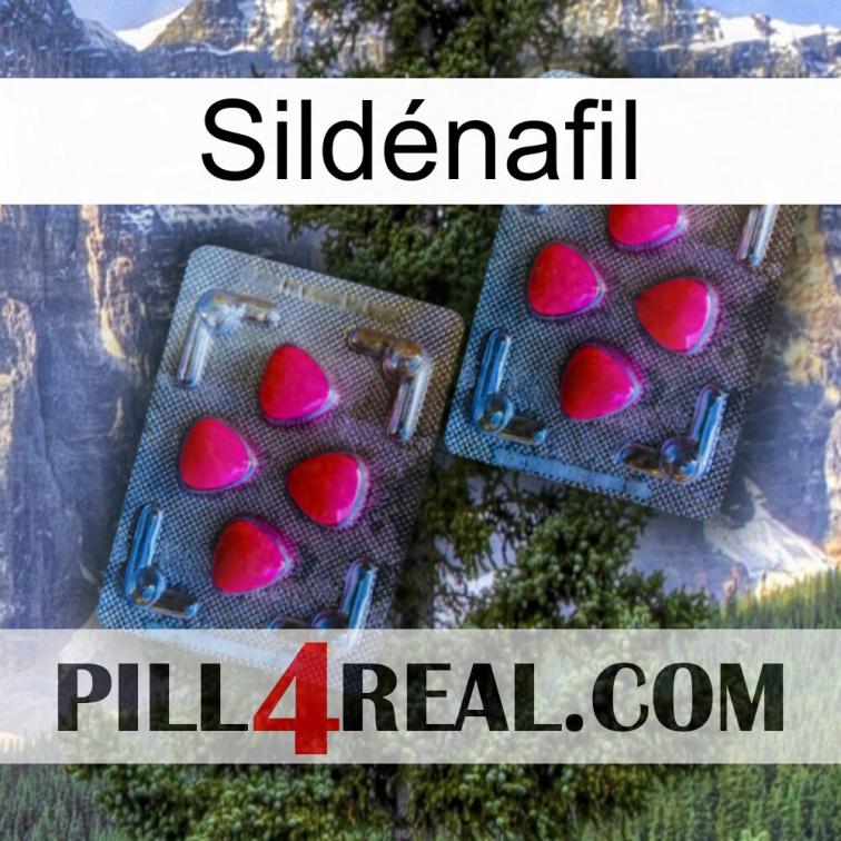Sildénafil 14